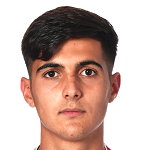 Т. Бердайес