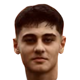 Таха Челик