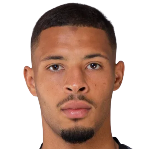 Тео Франк Маттиас Де Перчин