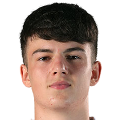 Тайлер Фредриксон