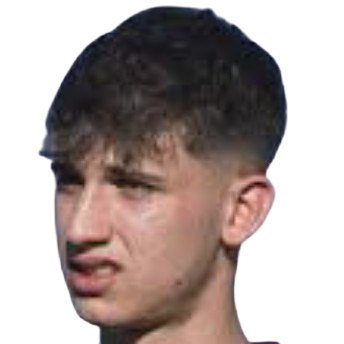 Т. Габеллини