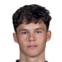 Том ван Берген