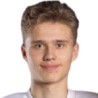 Нанитамо Tiilikainen