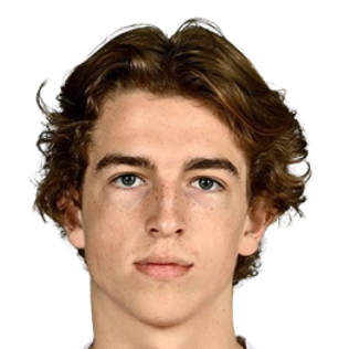 Вальдемар Андреасен