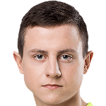 В. Паулаускас