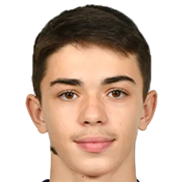 В. Станковичи