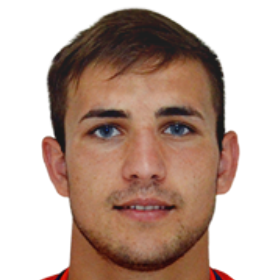 В. Страйстарь