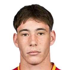 Ваня Влахович