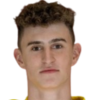 Доминик Vachun