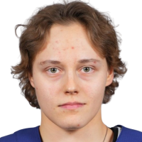 Виви Вайникка