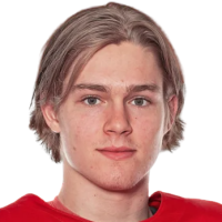 Финн ван Ээ