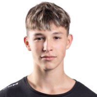 Теодор Vapenik