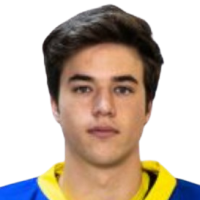 Николае Vasile