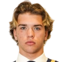 Паркер Vaughan