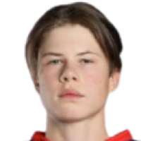 Veeti Vilander
