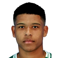 Винисиус Лопес да Силва