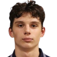 Доминик Vlcek