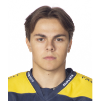 Джонатан Викстрем