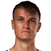 Вюрцнер Н.