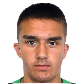 Ж. Самчович