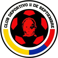 Team Flag Logo