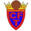 Team Flag Logo