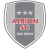 Team Flag Logo