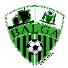 Team Flag Logo