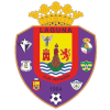 Team Flag Logo