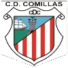 Team Flag Logo
