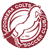 Team Flag Logo