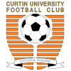 Team Flag Logo