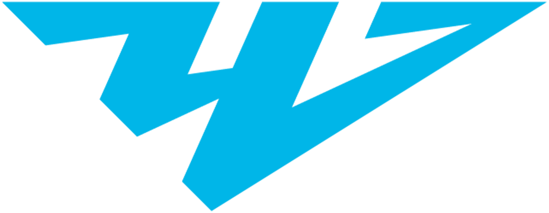 Team Flag Logo