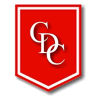 Team Flag Logo