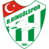 12 Бинголспор