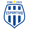 Team Flag Logo
