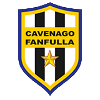 Team Flag Logo