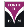 Team Flag Logo