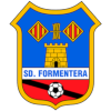 Team Flag Logo