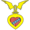 Team Flag Logo