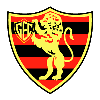 Team Flag Logo