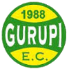 Team Flag Logo
