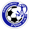 Team Flag Logo