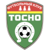 Тосно СПБ