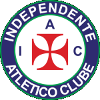 Team Flag Logo