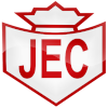Team Flag Logo