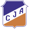Team Flag Logo