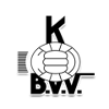 К Бохольтер ВВ