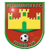 Team Flag Logo