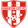 Team Flag Logo